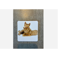 Onderzetters katten setje van 4 stuks